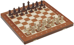 Šachovnice